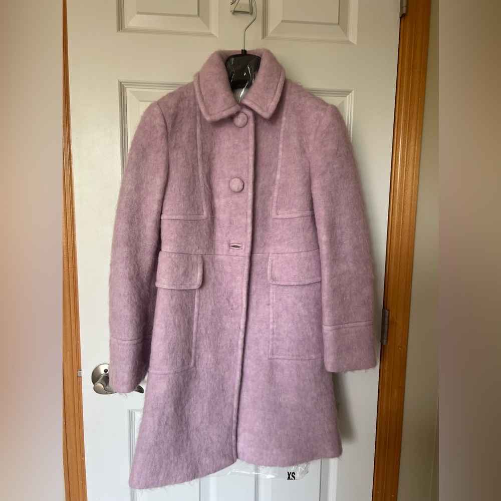 Zara Purple Coat
